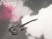 Flying