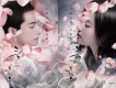楊洋圖片照片