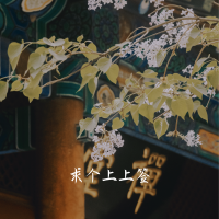 求個上上籤