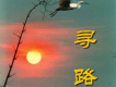 尋路