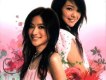 蜜雪薇琪歌曲歌詞大全_蜜雪薇琪最新歌曲歌詞