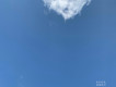 風中有朵雨做的雲
