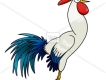 Rooster圖片照片