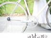 새 남