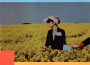 Lizzy Mercier Descloux最新歌曲_最熱專輯MV_圖片照片