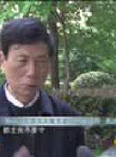 遼寧新聞最新一期線上看_全集完整版高清線上看 - 蟲蟲綜藝
