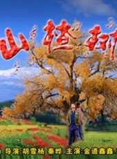 朱亞文演過的電影電視劇線上看_影視作品大全_好看的明星