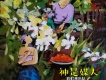 彩虹來樂隊歌曲歌詞大全_彩虹來樂隊最新歌曲歌詞