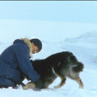 ANTARCTICA[南極物語]圖片照片_ANTARCTICA[南極物語]