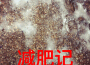 減肥記專輯_Juice減肥記最新專輯