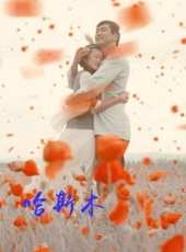 最新2012其它劇情電影_2012其它劇情電影大全/排行榜_好看的電影