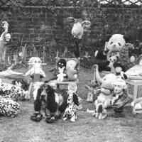 Pete Townshend圖片照片_Pete Townshend