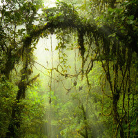 Green圖片照片_Green