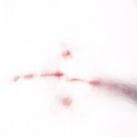 Hush.專輯_ChoitreeHush.最新專輯
