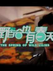 韓會亮演過的電影電視劇線上看_影視作品大全_好看的明星