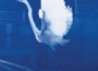 Waver the Absolute專輯_SybariteWaver the Absolute最新專輯