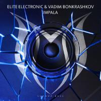 Elite Electronic最新歌曲_最熱專輯MV_圖片照片