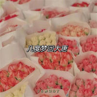 藥材最新歌曲_最熱專輯MV_圖片照片