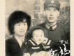 覃楨歌曲歌詞大全_覃楨最新歌曲歌詞