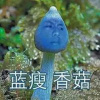 丘梓欣最新歌曲_最熱專輯MV_圖片照片