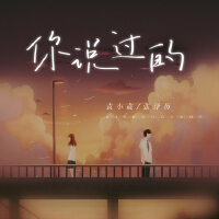 你說過的