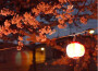 nights like this pt 2專輯_lovelordnights like this pt 2最新專輯