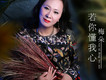 梅朵歌曲歌詞大全_梅朵最新歌曲歌詞
