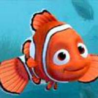 Nemo圖片照片_Nemo
