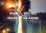 Unfulfilled Dream, Vol. 4專輯_Angel FallsUnfulfilled Dream, Vol. 4最新專輯