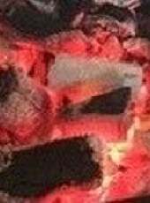 遼寧新聞最新一期線上看_全集完整版高清線上看 - 蟲蟲綜藝