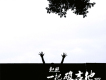 趙照歌曲歌詞大全_趙照最新歌曲歌詞