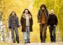 Pain of Salvation