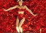 美國美人American Beauty