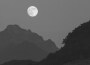Wildfire Eyes專輯_ArroWildfire Eyes最新專輯