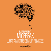 What Am I (The Demuir Remixes)