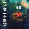 念萱歌曲歌詞大全_念萱最新歌曲歌詞