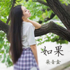 柒音盒歌曲歌詞大全_柒音盒最新歌曲歌詞