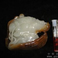 唐玉圖片照片_唐玉