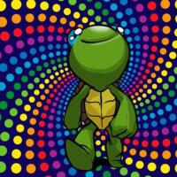 Trippy Turtle個人資料介紹_個人檔案(生日/星座/歌曲/專輯/MV作品)