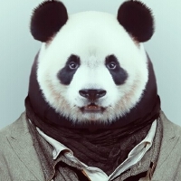 熊貓人圖片照片_熊貓人