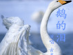古享林歌曲歌詞大全_古享林最新歌曲歌詞