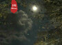 枕雪樓專輯_前女友枕雪樓最新專輯