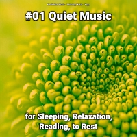 Meditation Music個人資料介紹_個人檔案(生日/星座/歌曲/專輯/MV作品)