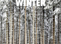 Winter專輯_KindnessWinter最新專輯