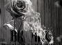 Midnight Reflections專輯_BK ARTMidnight Reflections最新專輯