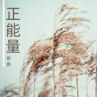 天才小鋼琴圖片照片_照片寫真