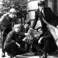 The Yardbirds圖片照片_The Yardbirds