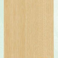 The White Birch圖片照片_The White Birch