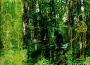 ULTRA HARD DIFFICULTY專輯_Sneferu IIULTRA HARD DIFFICULTY最新專輯