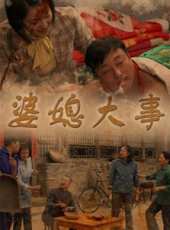 婆媳大事線上看_全集高清完整版線上看_分集劇情介紹_好看的電視劇
